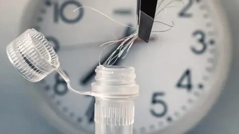Charité-Forschende entwickeln neue Methode